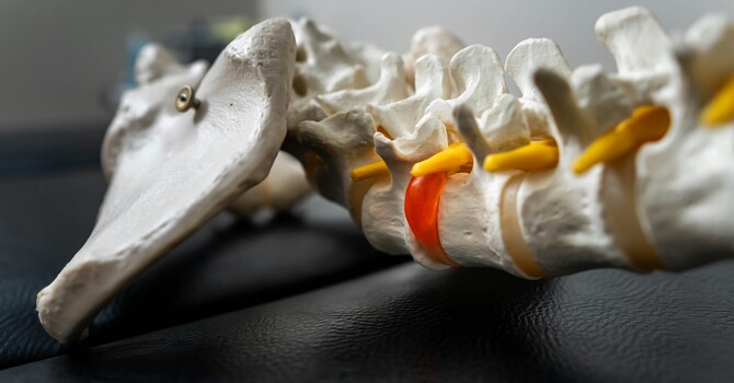 Performance Chiropractic